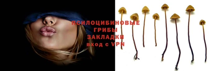 apvp Куйбышев