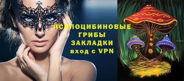 а пвп мука Кукмор