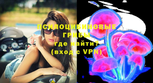 не бодяженный Ладушкин