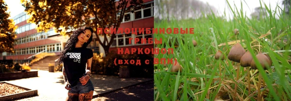 apvp Куйбышев