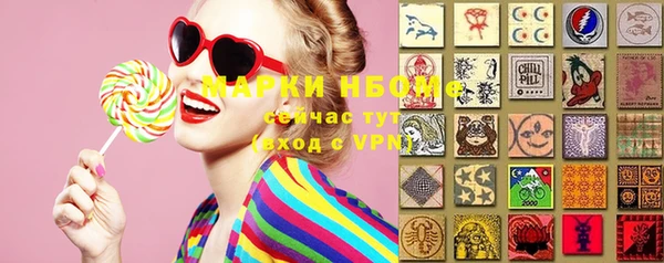 apvp Краснослободск