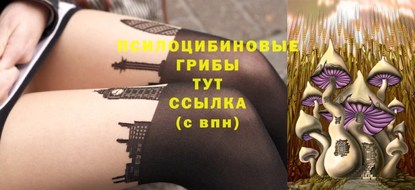 apvp Куйбышев