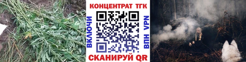 маркетплейс телеграм  Ливны  ТГК концентрат 