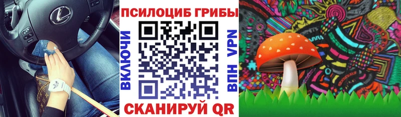omg вход  Ливны  Псилоцибиновые грибы прущие грибы 
